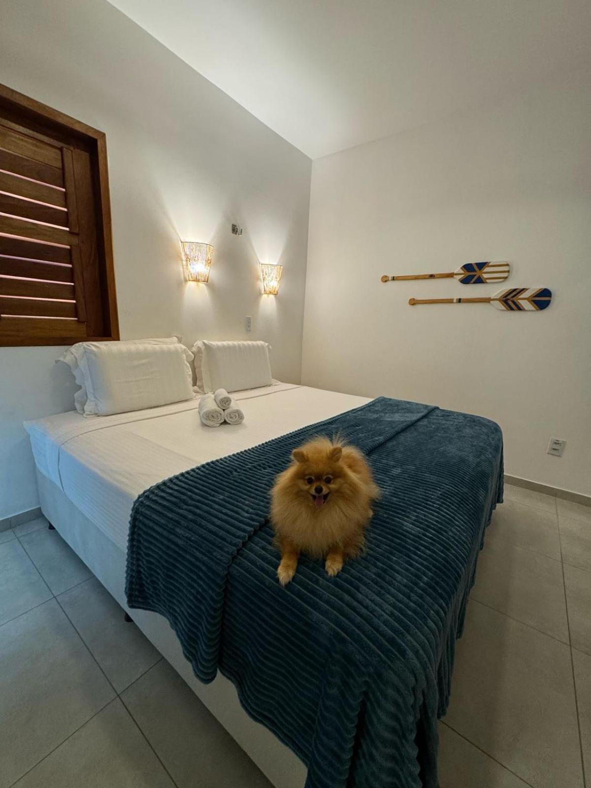 Pousada Amazing Jeri Jijoca de Jericoacoara Zewnętrze zdjęcie